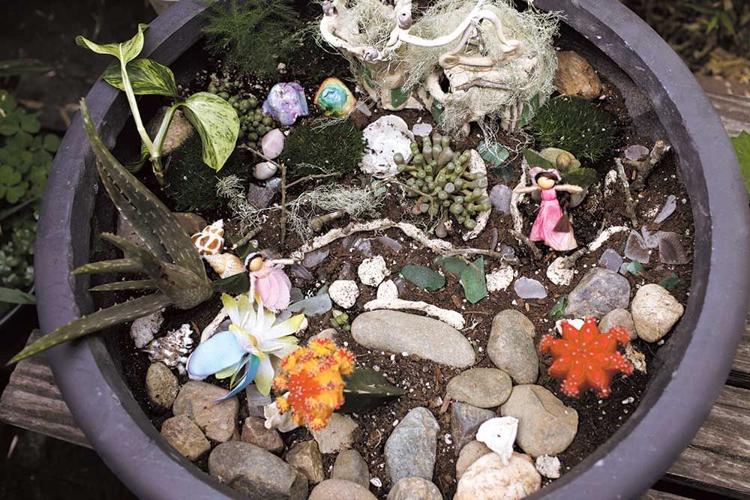 Fairy gardens are an enchanting and manageable way to introduce kids to gardening (and mythical beings).