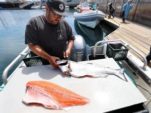 Image for display with article titled For the First Time Since 2022, the Recreational Chinook Salmon Fishing Window Will Open.