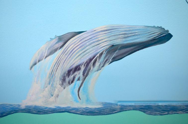Bay of Pines humpback whale on the ceiling