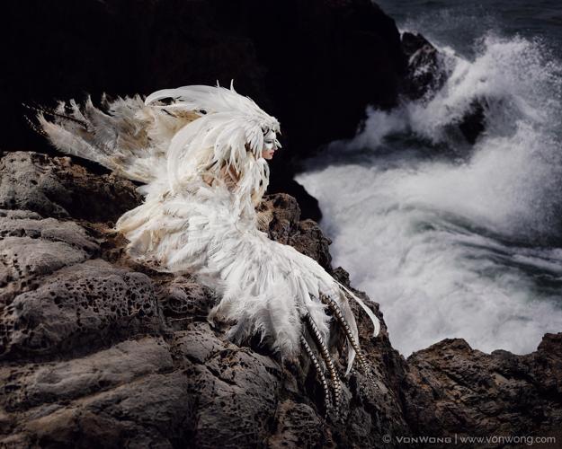 Sea Bird.jpg