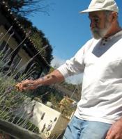 The volunteers who staff Monterey’s historic gardens know a few things about plants.  