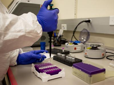 covid lab test