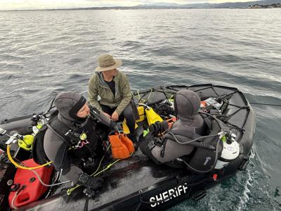 Search for Erica Fox
