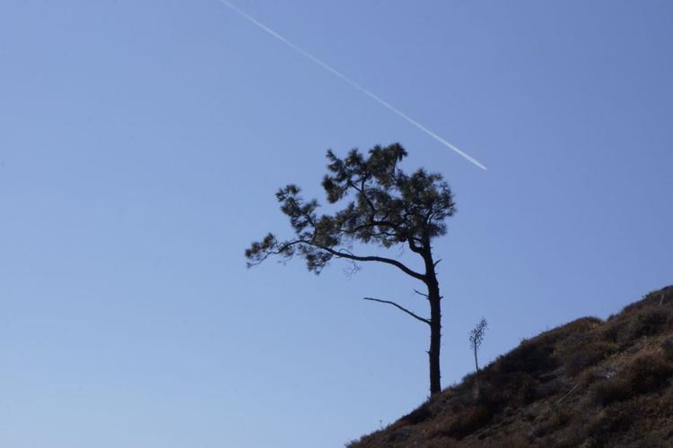 airplane.jpg