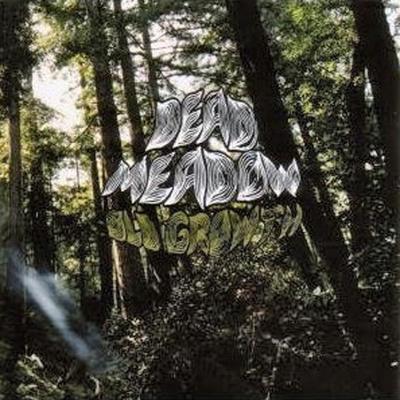 DEAD MEADOW  