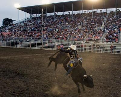 Professional bull riding