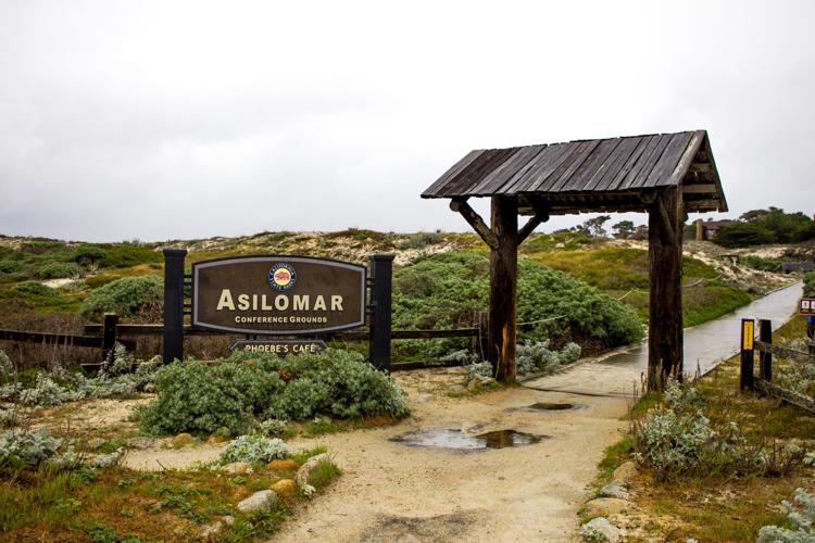 Asilomar Quarantine PS 11.jpg