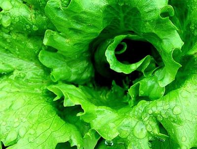 Hope for Monterey County Vegetarians (at Least a Little)  