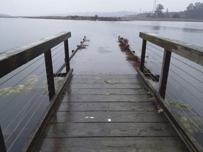 The Tide is High