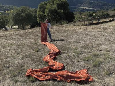Weaving the Dream