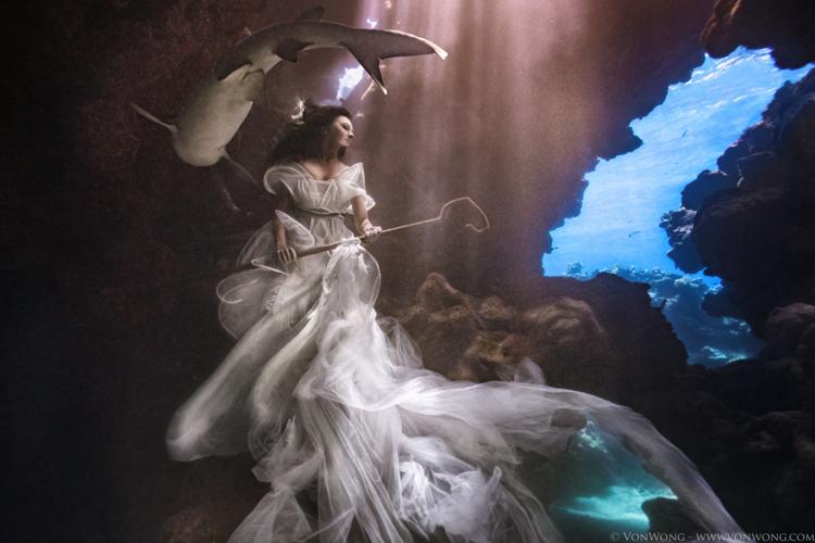 SharkShepherd_VonWong_2.jpg