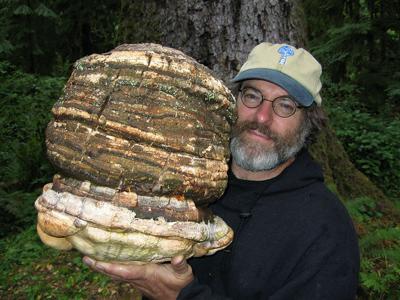 Mycologist Paul Stamets, holding a fungi called agarikon