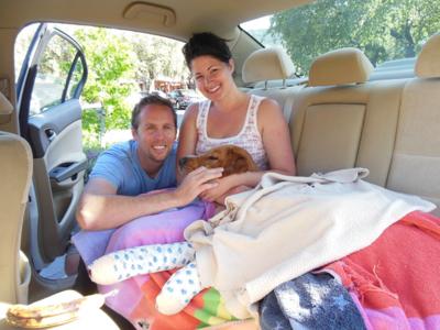 Local Labrador Falls From Cliff, New Nonprofit Comes to the Rescue  