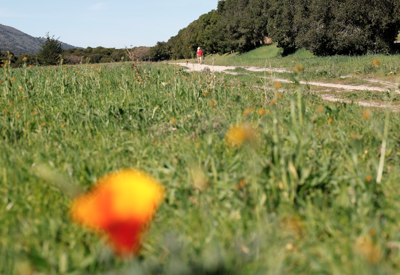 Carmel Valley airfield path