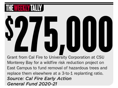 The Weekly Tally 09.23.21