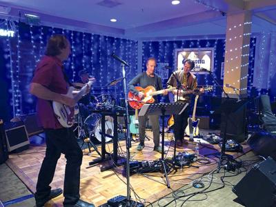 Salty Dogs