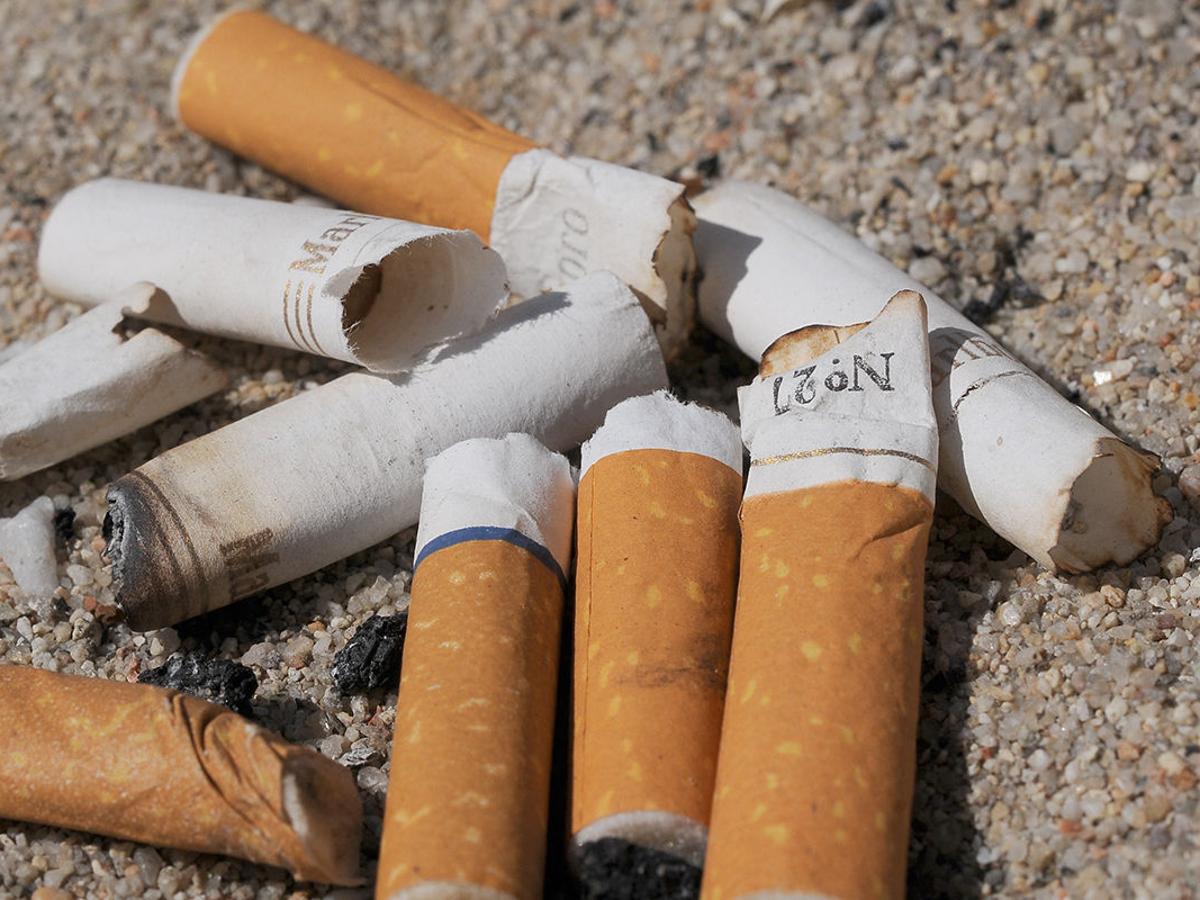 infographic tobacco World No Tobacco Day 2021 Infographics infographic tobacco World No Tobacco Day 2021 Infographics