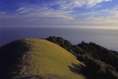 Big Creek Reserve opens its gates for a once-a-year public tour.  