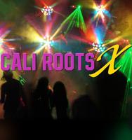 The California Roots Festival at 10