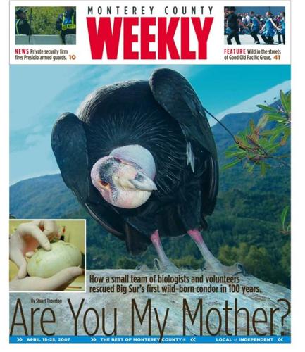 Issue Apr 19, 2007 