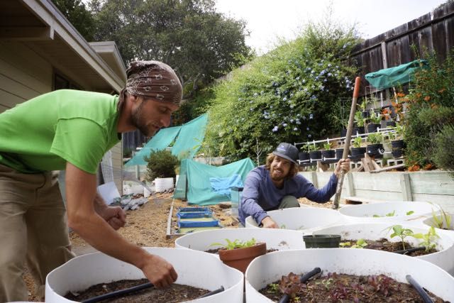 aquaponics