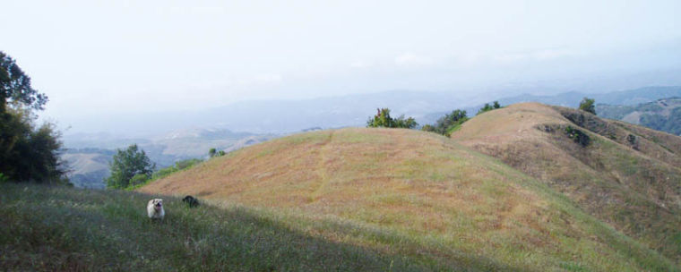 Big Sur Land Trust welcomes the public to a private paradise to celebrate National Trails Day.  