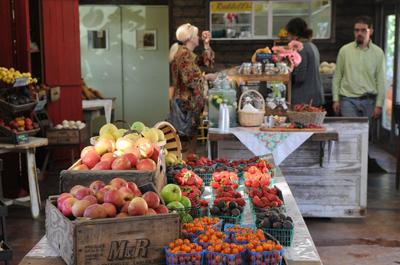 D’Vine Inspiration: How a new Salinas Valley greengrocer will make you feel like a kid in a (healthy) candy store.  