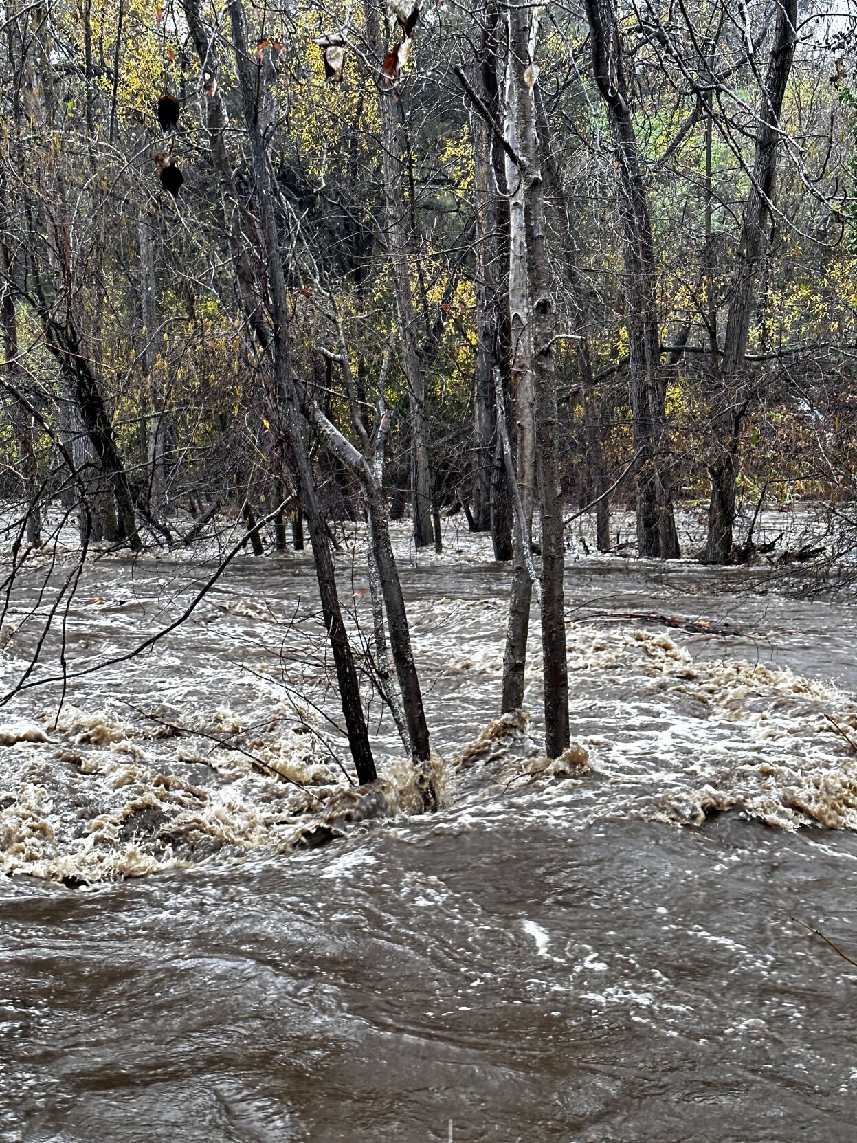 Carmel River