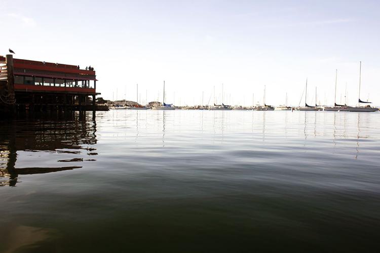WharfNC09.jpg