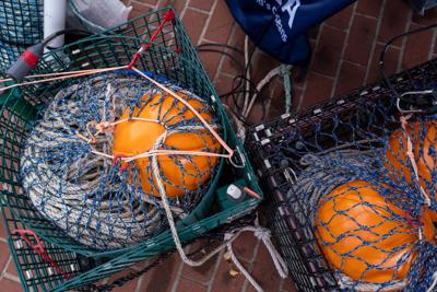 web photo April 21_crab traps