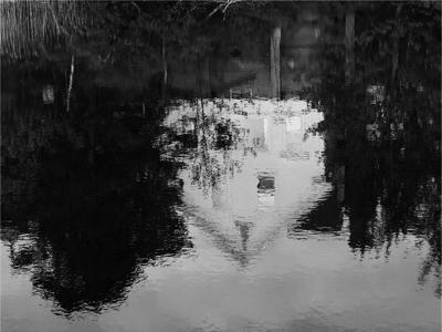 Spectral Vision