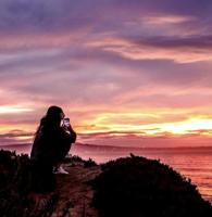 The wild wilderness. Sand City councilmember resigns. Wine, music and history for the holidays.