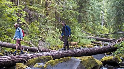 Old Joy is a quietly haunting film about shifting friendships.  