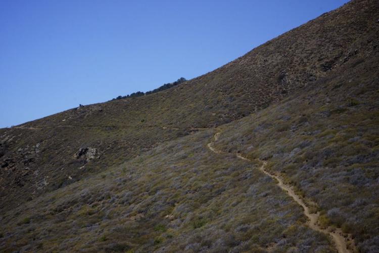 ridge.jpg