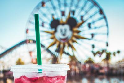 Plastic Straw Ban