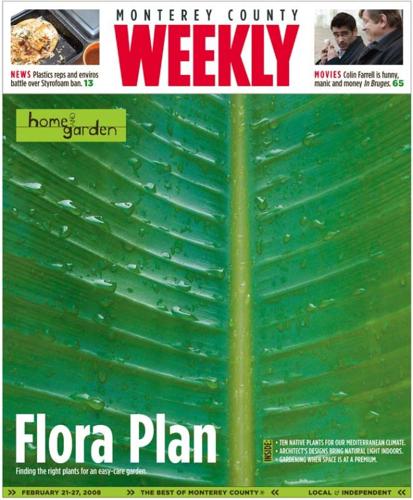 Issue Feb 21, 2008 