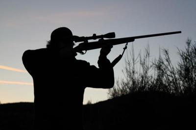 They’re smart, mean, tough and ugly. But that’s not why we should shoot them.  