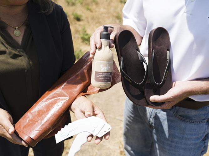 A Toxic Relationship