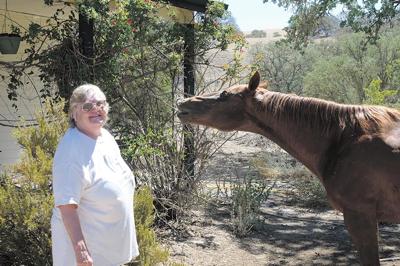 A South County woman’s fight with a neighbor uncovers a piece of Native American history.