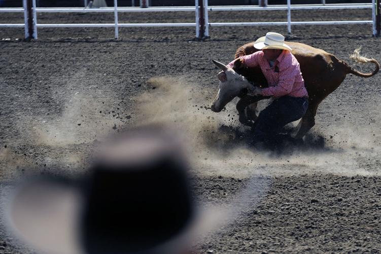 California Rodeo Salinas