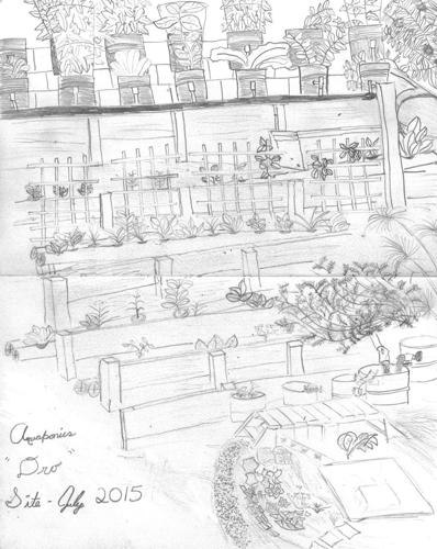 sketch