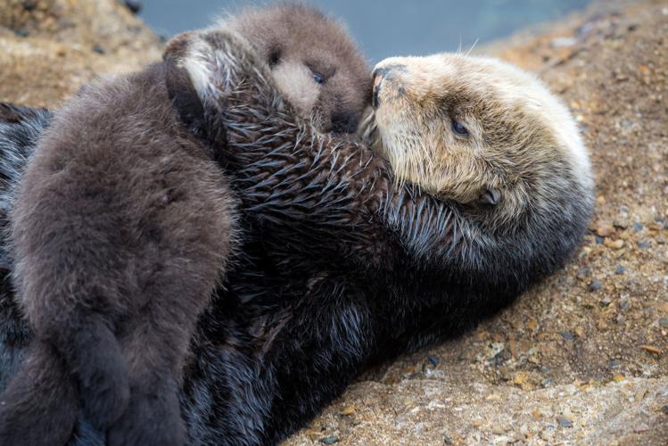 Warm Hug