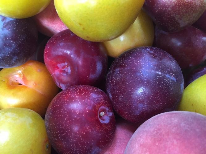 stone fruit at farmers market