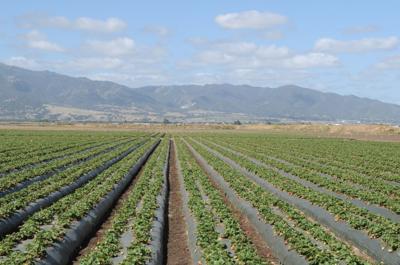 After Three Years of Deliberations, Ag Waiver Comment Period Closes  