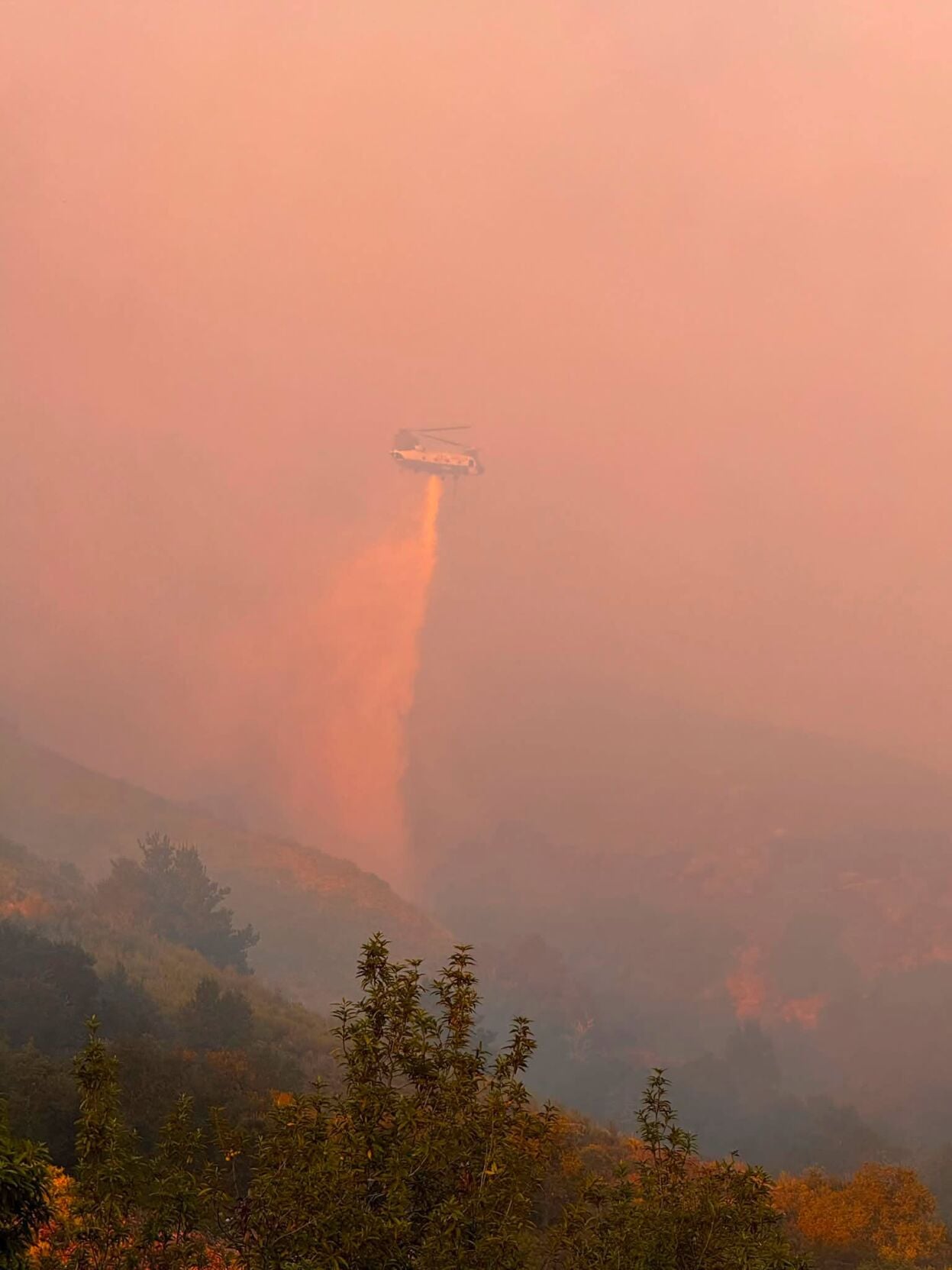 Timber Fire