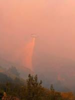 How to support firefighters and residents impacted by the Timber Fire.