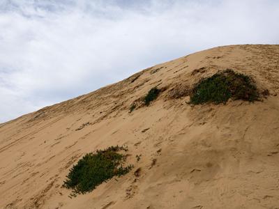 On A Hill