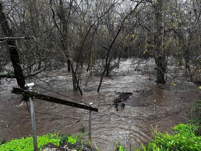 Garland flood