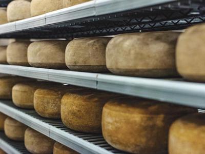 Cheese Guys
