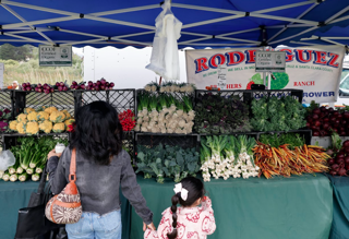 Everyone’s Harvest recognized as one of the state’s top non-profits.